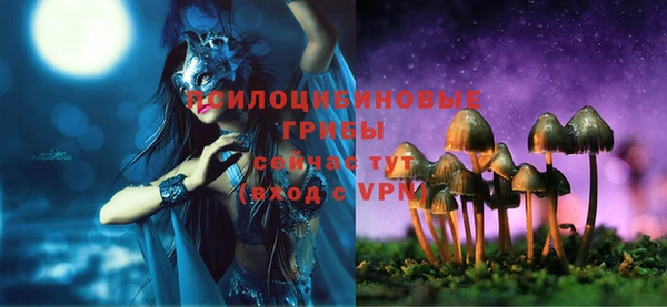 спиды Арсеньев