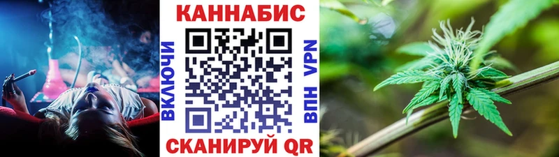 Канабис сатива Малгобек